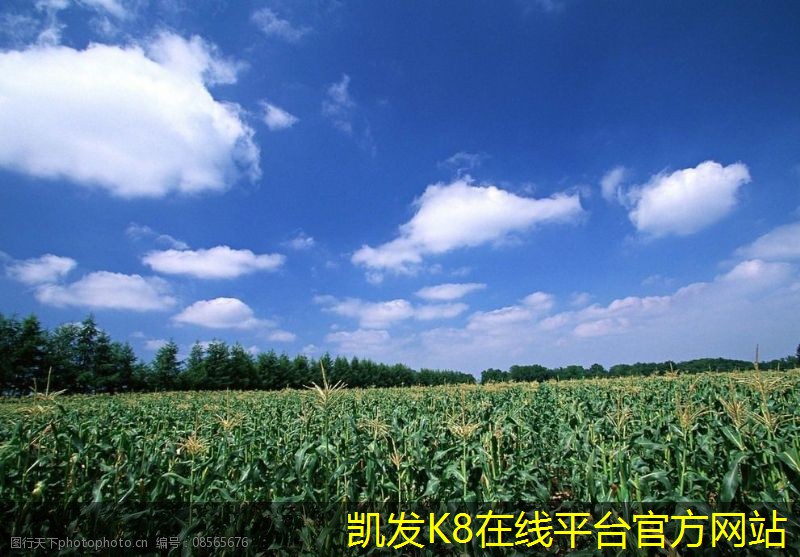 凱發(fā)k8國(guó)際(中國(guó))官方網(wǎng)站·一觸即發(fā)雙層百葉風(fēng)口的設(shè)計(jì)與創(chuàng)新