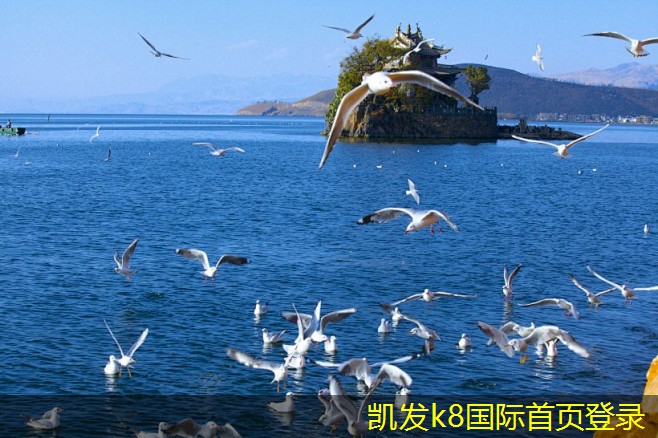 凱發(fā)K8官方網(wǎng)站app官網(wǎng)屋頂自然通風機如何助力綠色建筑