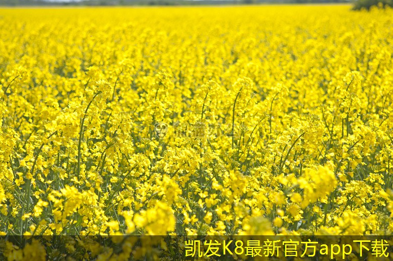 凱發(fā)k8國際(中國)官方網(wǎng)站·一觸即發(fā)表冷器與空氣處理設(shè)備的協(xié)調(diào)