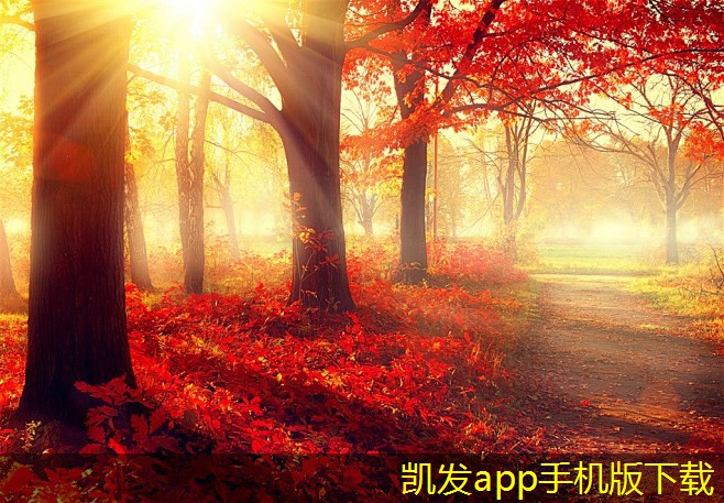 YDF型射流式誘導(dǎo)風(fēng)機(jī)的市場(chǎng)前景分析