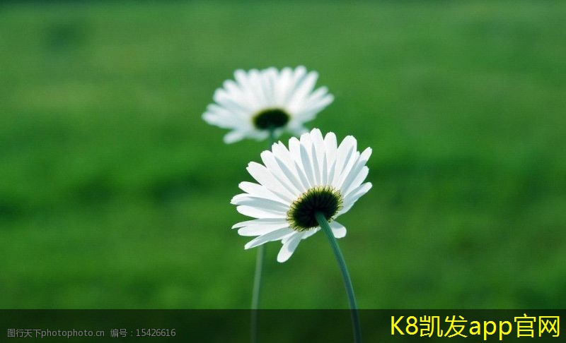 屋頂自然通風(fēng)機(jī)的市場(chǎng)前景分析
