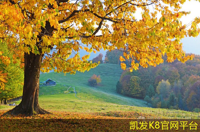 常見故障及解決方法的HTF軸流式排煙風機
